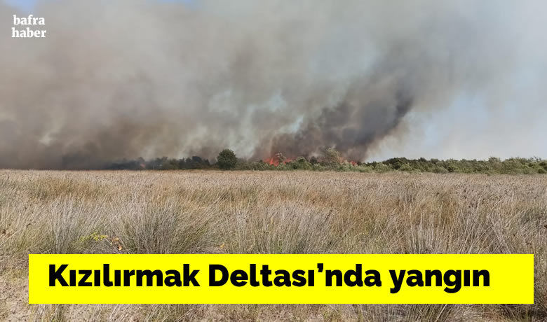 Kızılırmak Deltası’nda yangın