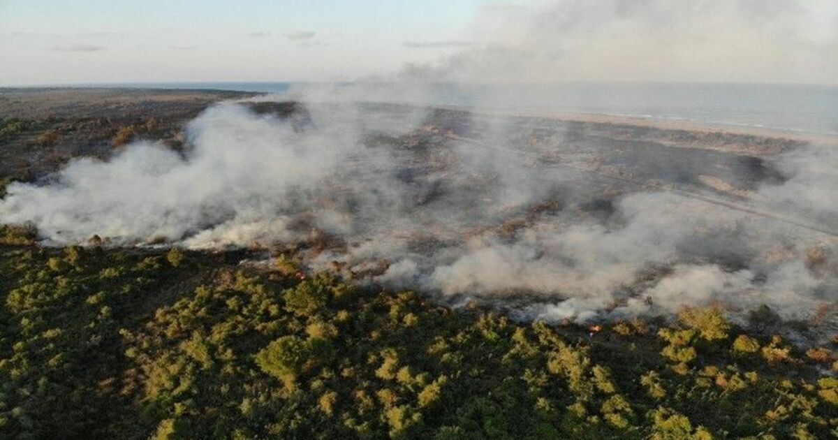 Kuş cennetinde çıkan yangını söndürme çalışmaları devam ediyor
