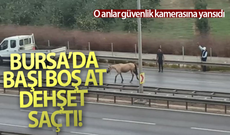 Bursa'da başı boş at dehşetsaçtı, o anlar güvenlik kamerasına yansıdı - Bursa'da, başı boş at iki aracın kaza yapmasına sebebiyet verirken, o anlar kameralara yansıdı.BUGÜN NELER OLDU?
