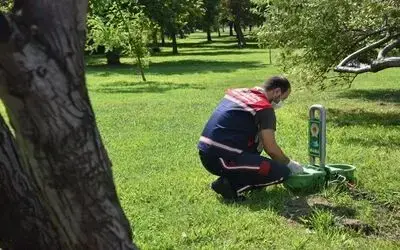 Can dostlar için mama ve su kabı
