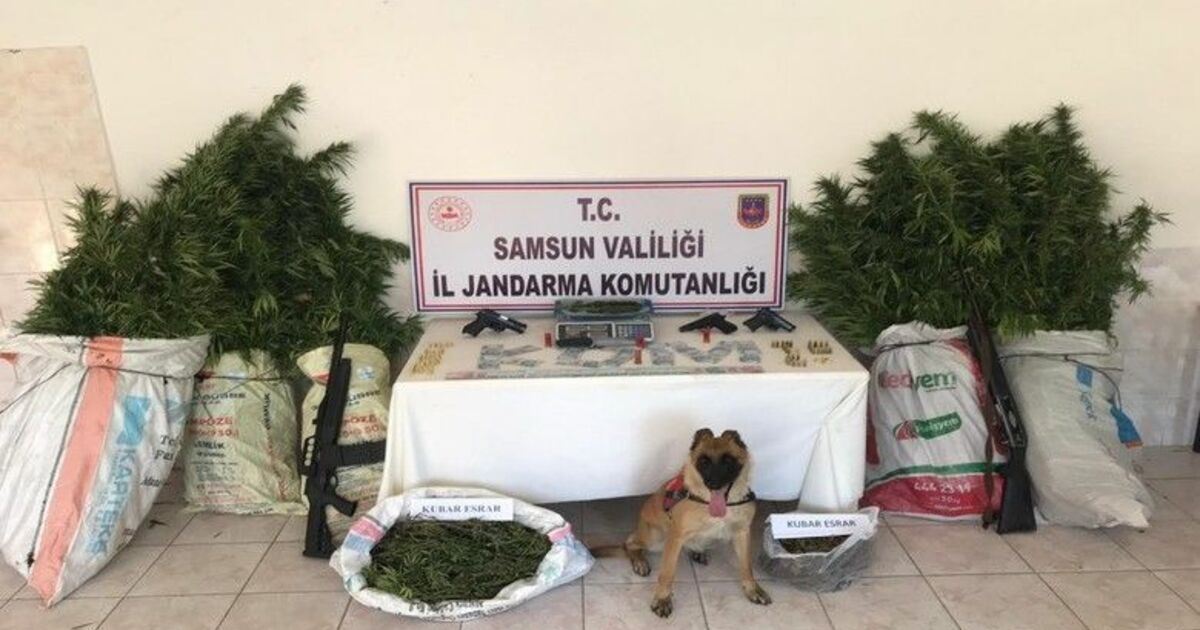 Bafra’da jandarma ekipleri uyuşturucu ve silah ele geçirdi
