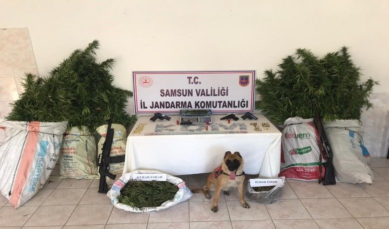 Bafra’da jandarma ekipleri uyuşturucuve silah ele geçirdi - Samsun İl Jandarma Komutanlığı Kaçakçılık Organize Suçlarla Mücadele (KOM) Şube Müdürlüğü ekipleri, İstihbarat Şube ekipleri, Bafra İlçe Jandarma Komutanlığınca uyuşturucu madde kaçakçılığı ve yasa dışı ekim ile mücadele kapsamında çalışmalar neticesinde uyuşturucu ve silah ele geçirildi.
