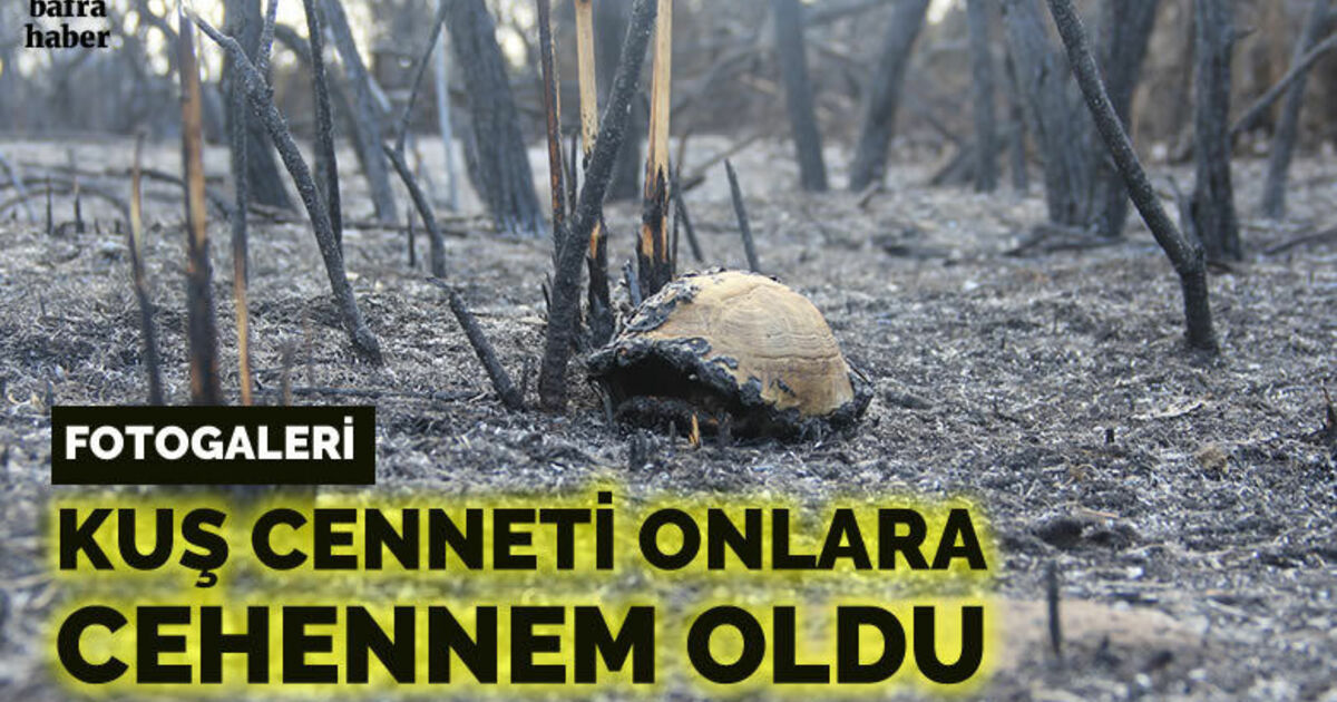 Kuş Cenneti’ndeki tahribat havadan görüntülendi