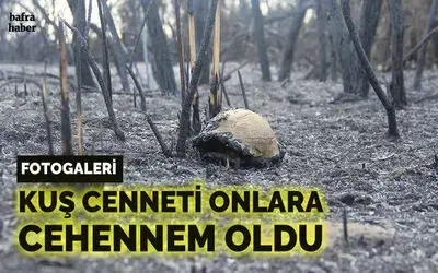 Kuş Cenneti’ndeki tahribat havadan görüntülendi