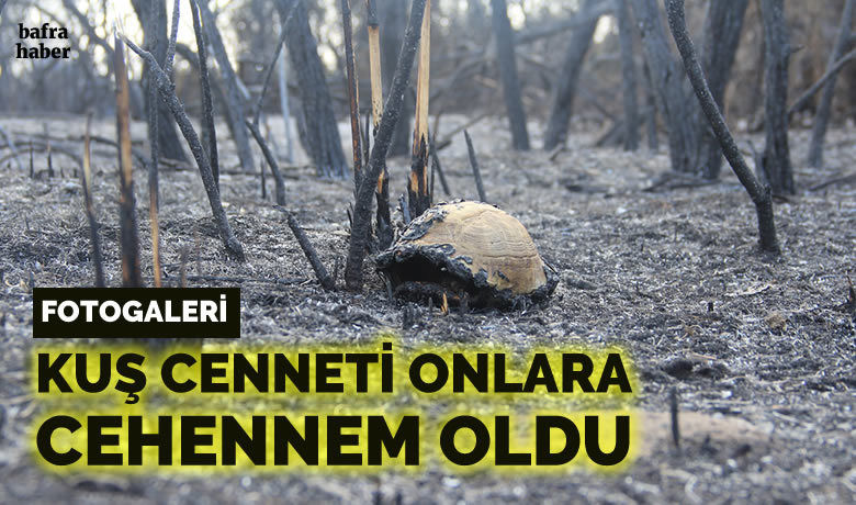 Kuş Cenneti’ndeki tahribat havadan görüntülendi