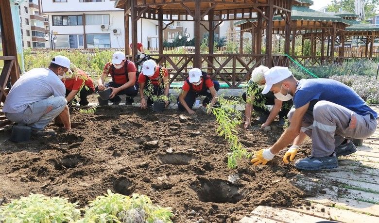 Atakum Belediyesi AtaTohum’dailk üretim tamamlandı - Karadeniz’in ilk tohum merkezi olan AtaTohum’u Samsun’da kuran Atakum Belediyesi, ilk hasadı gerçekleştirdi.