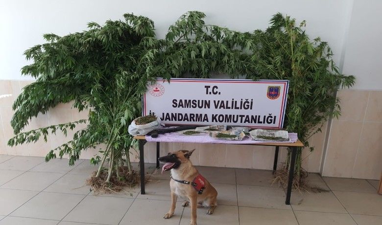 Alacam’da  uyuşturucu operasyonu
