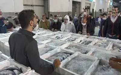 Türkiye’nin palamudu Samsun’dan
