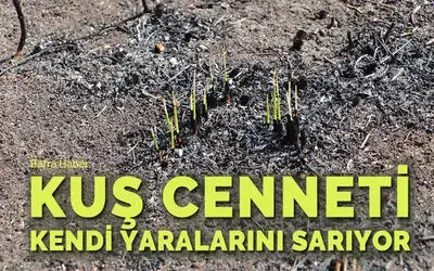 Kuş Cenneti kendi yaralarını sarıyor