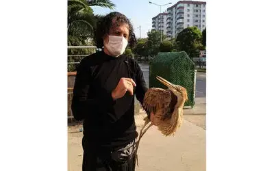Yaralı balıkçıl kuşuna sahip çıktılar
