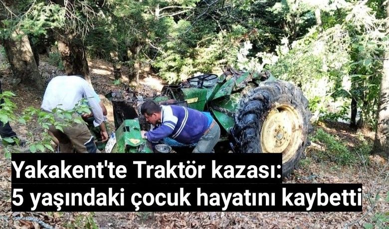 Traktör ormana yuvarlandı: 1 ölü, 2 yaralı
