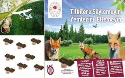 Kuduz hastalığına karşı yaban hayvanlarına havadan aşılama
