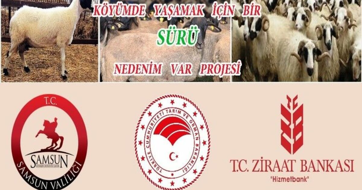 "Köyümde Yaşamak İçin Bir Sürü Nedenim Var" Projesi
