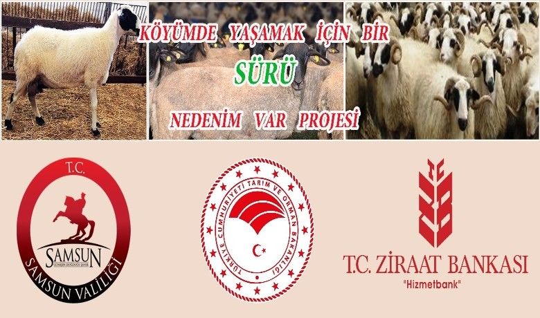 "Köyümde Yaşamak İçin BirSürü Nedenim Var" Projesi - Samsun’da küçükbaş hayvancılığın geliştirilmesi amacıyla "Köyümde Yaşamak İçin Bir Sürü Nedenim Var" Projesi başlatıldı.