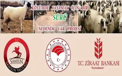 "Köyümde Yaşamak İçin Bir Sürü Nedenim Var" Projesi
