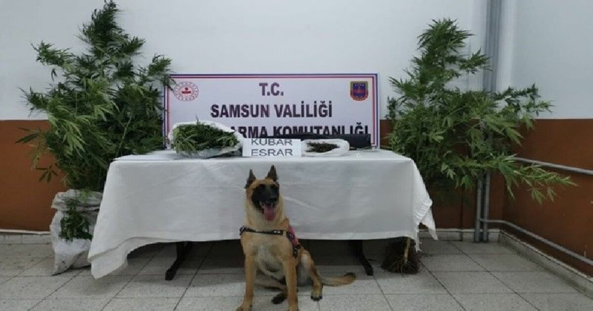 Samsun’da uyuşturucuya geçit yok
