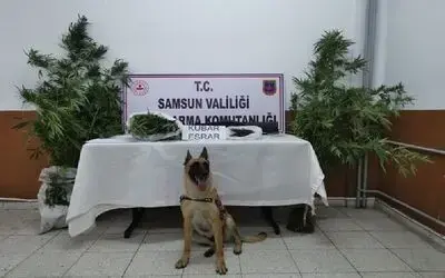 Samsun’da uyuşturucuya geçit yok
