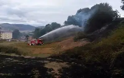 Anız yangını ağaçlık alana sıçradı
