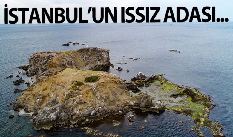 İstanbul'un ıssız adası - İstanbul Elmasburnu açıklarında yer alan ada, görünüşü ile adeta film setini andırıyor. Haberin videosunu izlemek için tıklayınız