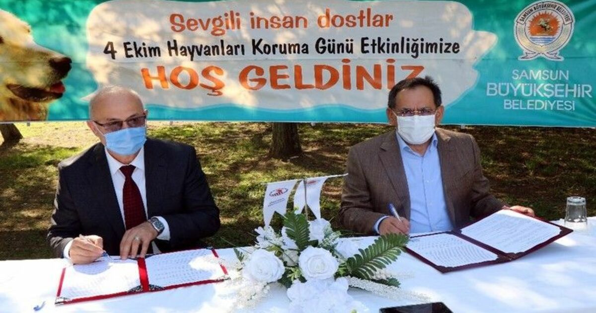 Samsun Büyükşehir ile OMÜ arasında ’sokak hayvanları protokolü’
