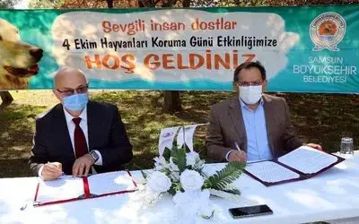 Samsun Büyükşehir ile OMÜ arasında ’sokak hayvanları protokolü’
