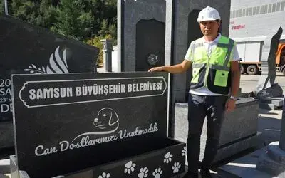 Can dostlar için doğal mama ve su kabı
