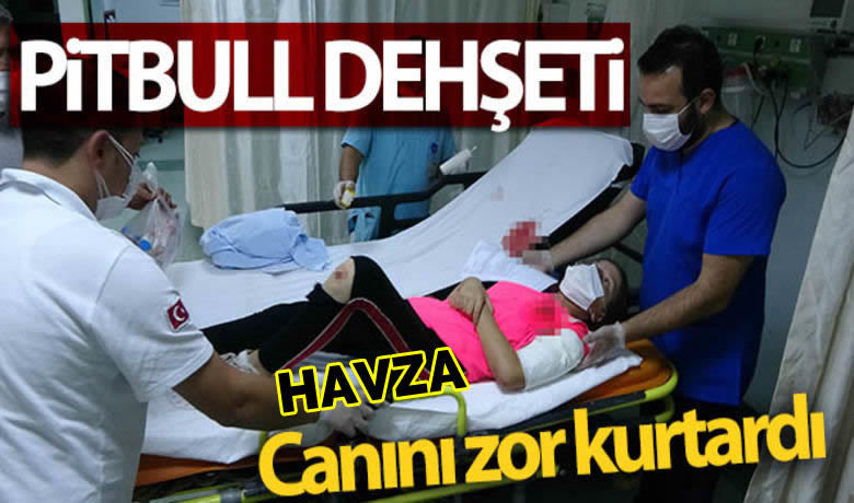 Samsun’da pitbull dehşeti - Samsun’da pitbull cinsi köpeklerin saldırısına uğrayan 11 yaşındaki kız çocuğu kanlar içinde kalarak ölümden dönerek hastanelik oldu.