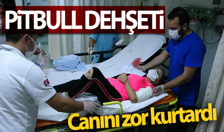 Samsun'da pitbull dehşeti - Samsun'da pitbull cinsi köpeklerin saldırısına uğrayan 11 yaşındaki kız çocuğu kanlar içinde kalarak ölümden dönerek hastanelik oldu.BUGÜN NELER OLDU?