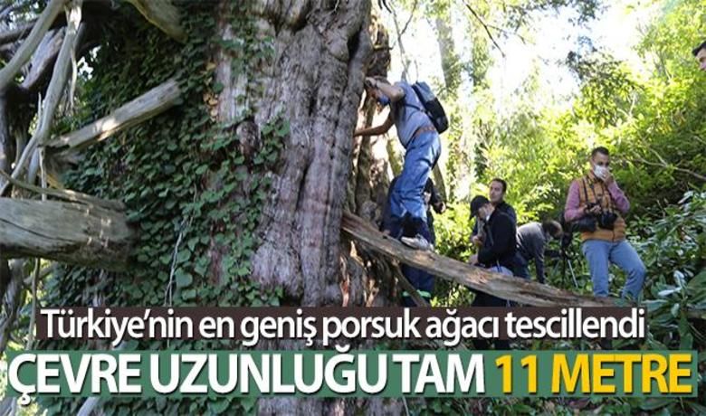 Türkiye'nin en geniş çaplıporsuk ağacı Artvin'de tescillendi - Artvin’in Murgul ilçesinde 11 metrelik çapı ile Türkiye’nin en geniş çaplı porsuk ağacı unvanına sahip anıt ağaç tescillendi. 1500 ile 2000 bin yaşında olduğu tahmin edilen yaklaşık 25 metre boyundaki ağaç, koruma altına alındı.BUGÜN NELER OLDU?