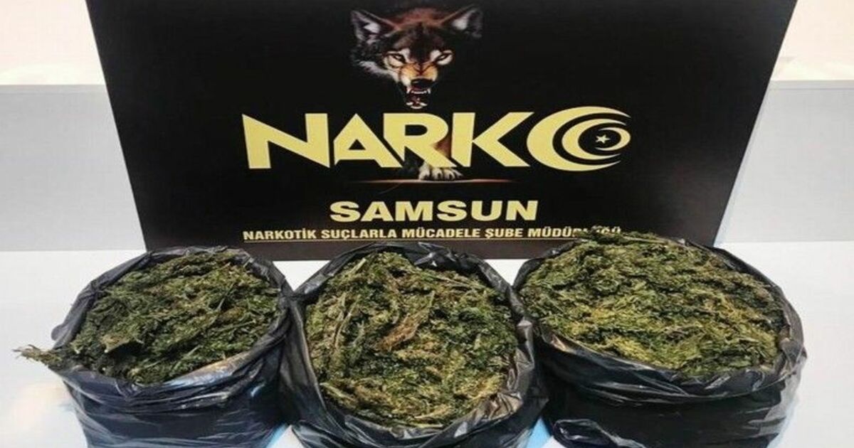 Samsun’da narkotik uygulaması: 16 gözaltı
