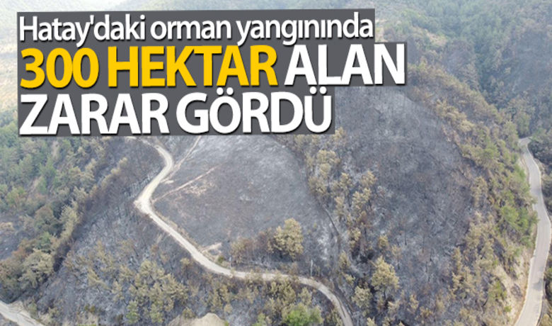Hatay'daki orman yangınında 300hektar alan zarar gördü - Hatay'da çıkan orman yangınlarında yaklaşık 300 hektar ormanlık alanın zarar gördüğü bildirildi.BUGÜN NELER OLDU?