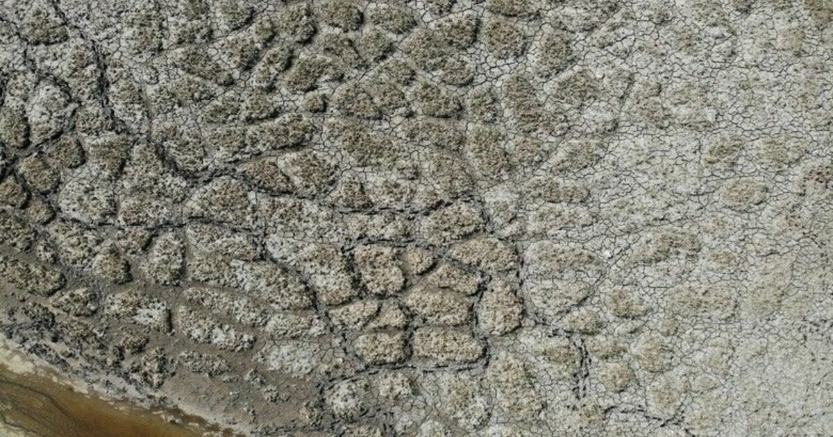 Kızılırmak Deltası’nda korkutan görüntü
