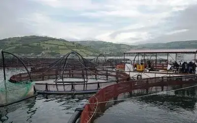 Japonya beğendi, üretim artırıldı
