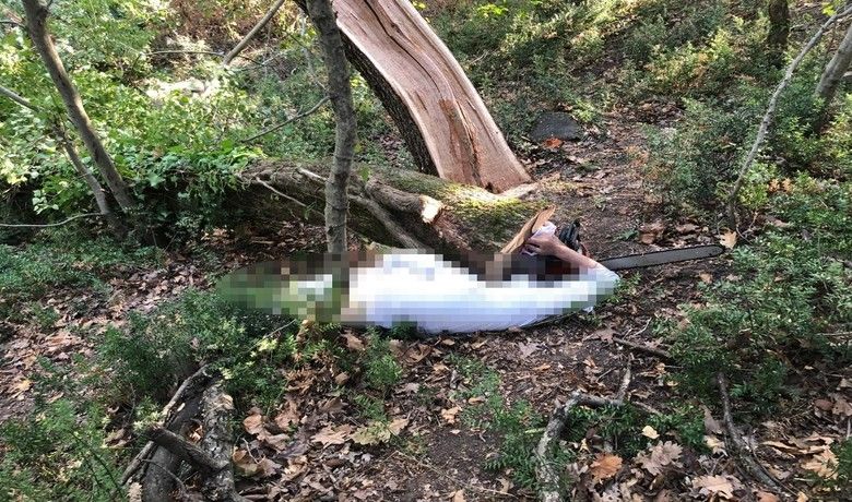 19 Mayıs'ta kestiği ağacınaltında kalan şahıs öldü - Samsun’un 19 Mayıs ilçesinde evinin önünde bulunan ormanda kestiği ağacın altında kalan şahıs hayatını kaybetti.