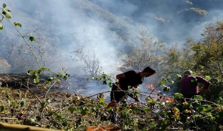 Fındık bahçesinde yangın
 - Samsun’un Ayvacık ilçesinde fındık bahçesinde çıkan yangında fındık ağaçları zarar gördü.
