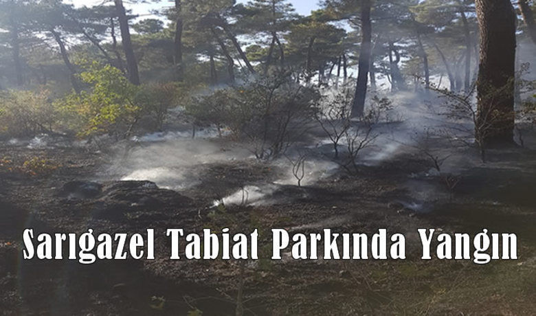 Sarıgazel Tabiat Parkında Yangın - Bafra-19 Mayıs karayolu üzerinde bulunan Sarıgazel Tabiat Parkında meydana gelen yangında güçlükle söndürüldü.