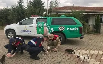 Samsun’da jandarmanın HAYDİ ekipleri takipte
