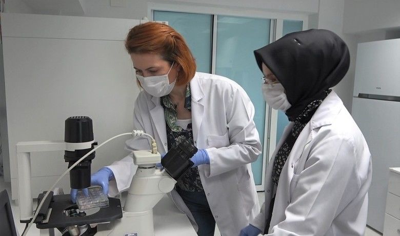 Kök hücre ile kısırlığa çare
 - Samsun Ondokuz Mayıs Üniversitesi’nde (OMÜ) araştırmacılar kök hücre ile kısırlığa çare bulmak için çalışmalarına başladı.