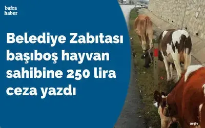 Zabıta Başıboş Hayvan Sahibine 250 Lira Ceza Yazdı