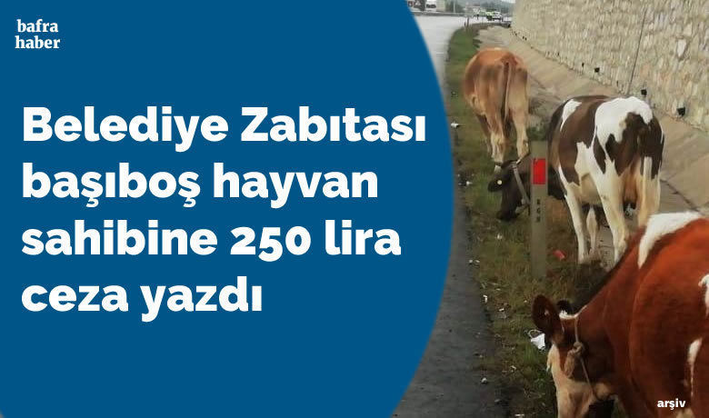 Zabıta Başıboş Hayvan Sahibine 250 Lira Ceza Yazdı