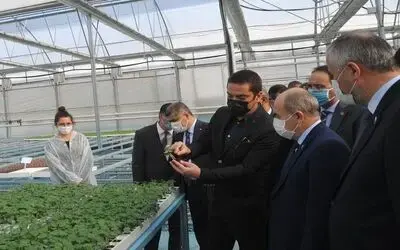 Vali Dağlı: ”Bafra tam bir tarım ilçesi"