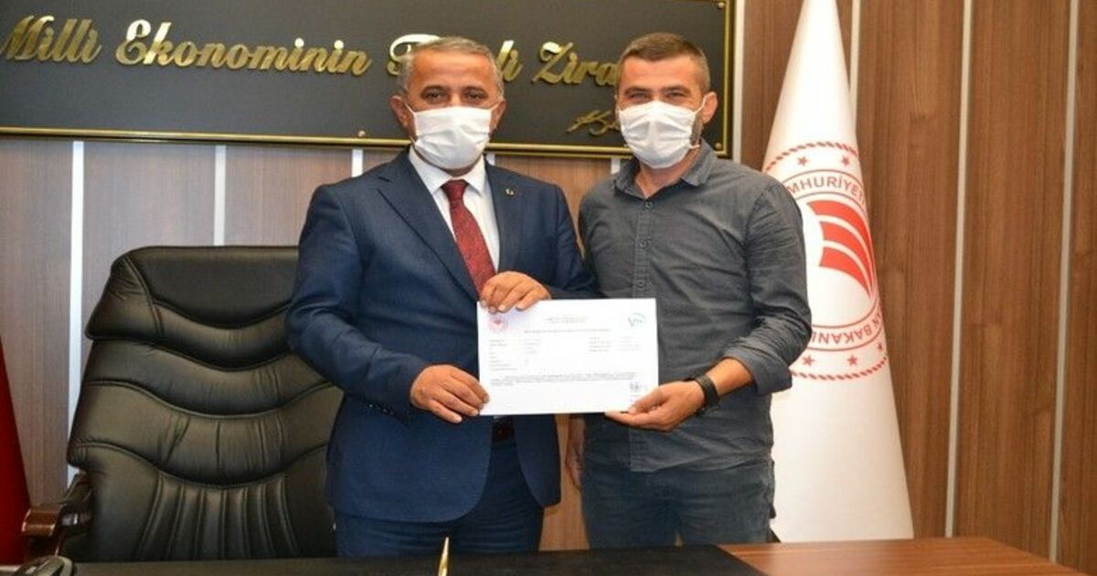 Samsun’da ’ari işletme’ sayısı artıyor
