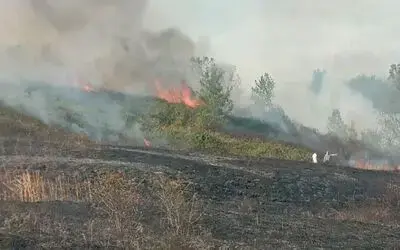 Samsun’da anız yangını
