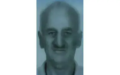 Üzerine ağaç düşen şahıs hayatını kaybetti
