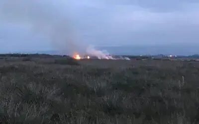 Kuş Cenneti sazlık alanda yangın