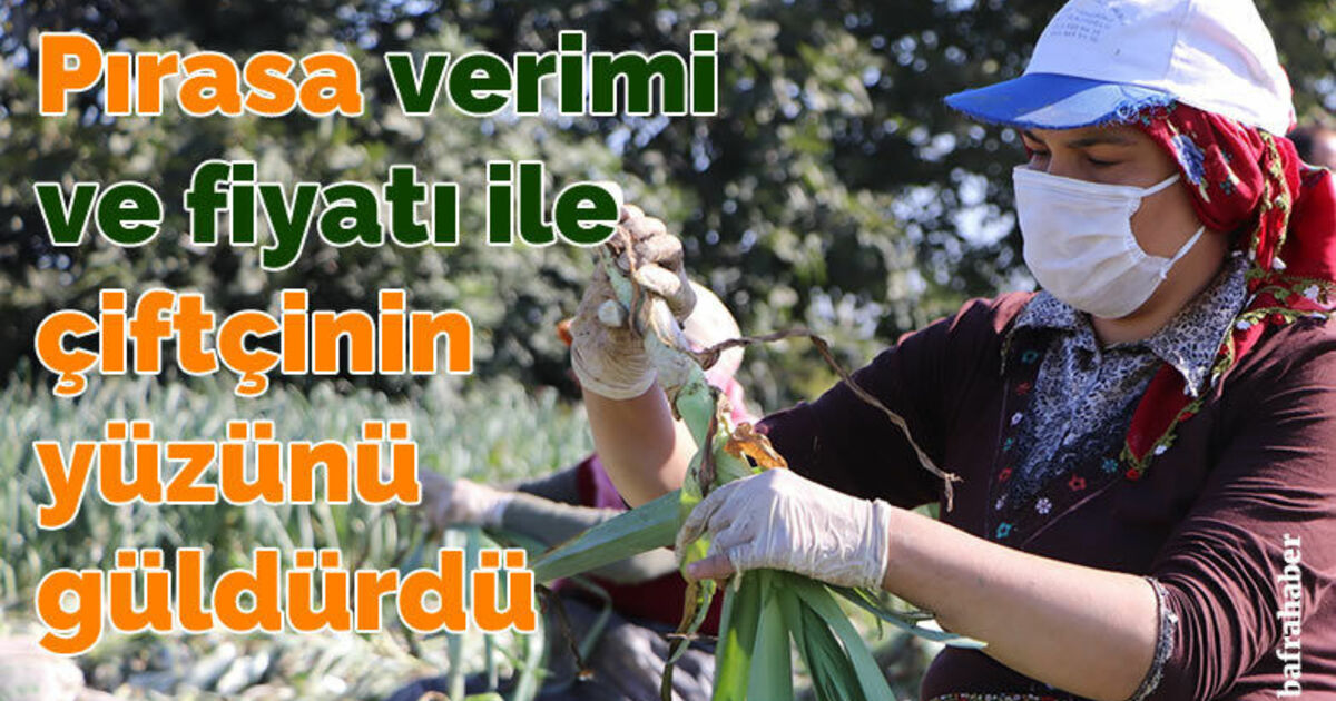 Pırasa verimi ve fiyatı ile çiftçinin yüzünü güldürdü