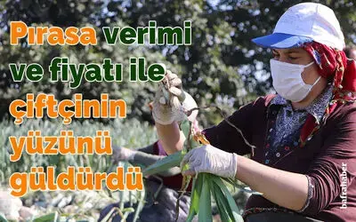 Pırasa verimi ve fiyatı ile çiftçinin yüzünü güldürdü