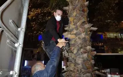 Ağaçta mahsur halan yavru kediyi polis kurtardı
