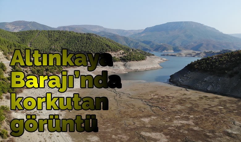 Altınkaya Barajı’nda korkutan görüntü
