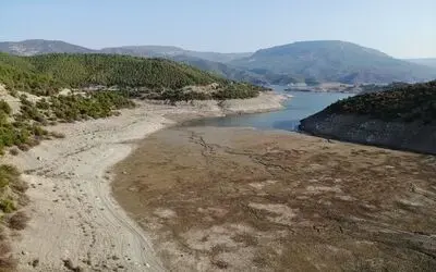 Altınkaya Barajı’nda korkutan görüntü
